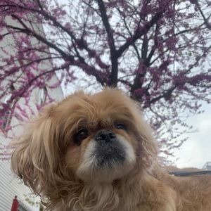 Meet your Posher, Robert